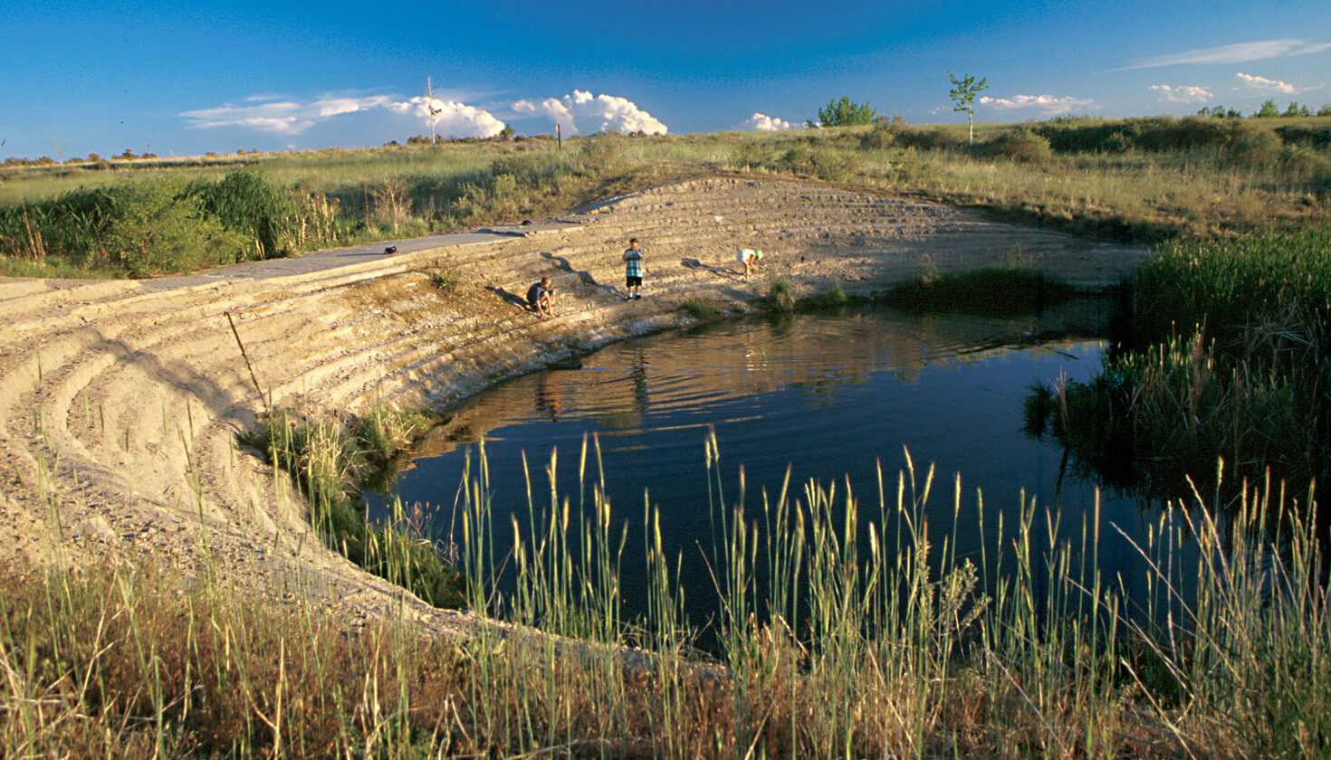 Children exploring near a small pond in a grassy landscape.