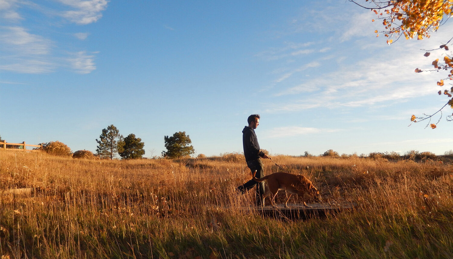 A man walks his dog along a path in a grassy meadow.