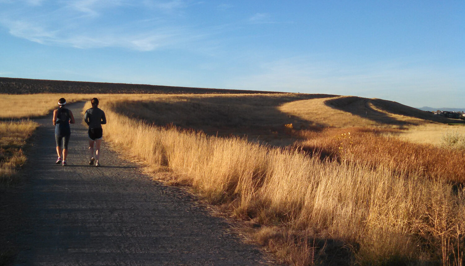 A photo of two runners making their way up a gravel path cutting up a gradual hill covered in native grasses.