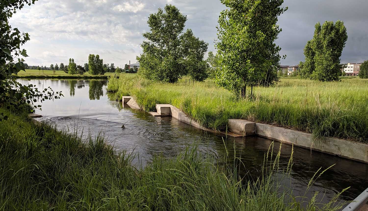 A photo of thick grass fields with Cottonwood trees shows a river slide through subtle concrete edges.