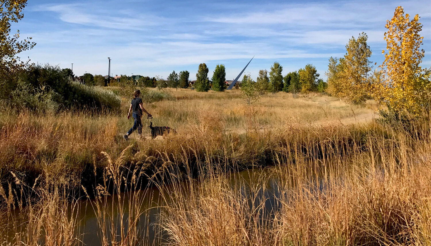 A person walks their dog on a gravel path that parallels a small river amidst a native meadow.