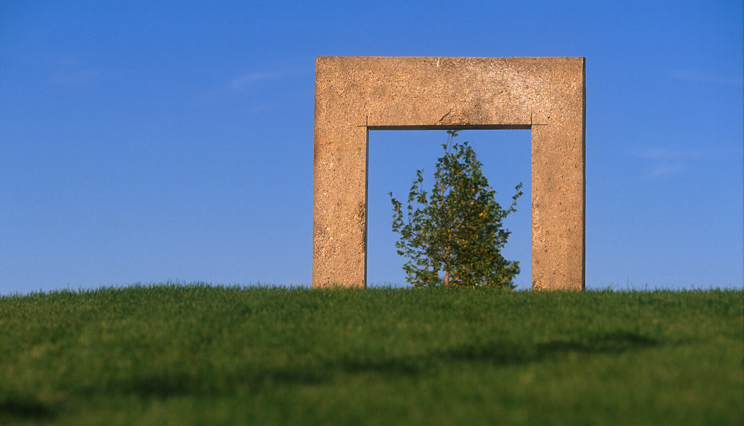 A blurry foreground of turf grass rises up to a large concrete rectangle balanced on its edge to frame a tree in the background