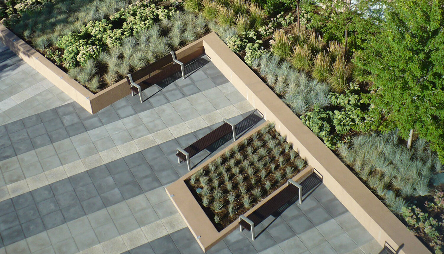 raised planters of grasses with benches in the plaza.