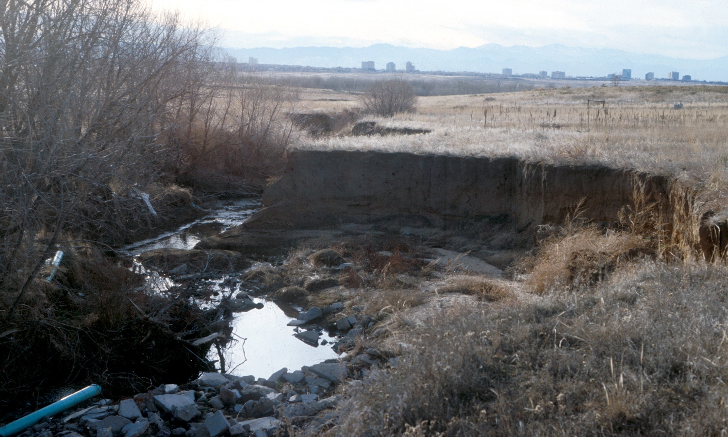 Wenk_Shop Creek_existing conditions