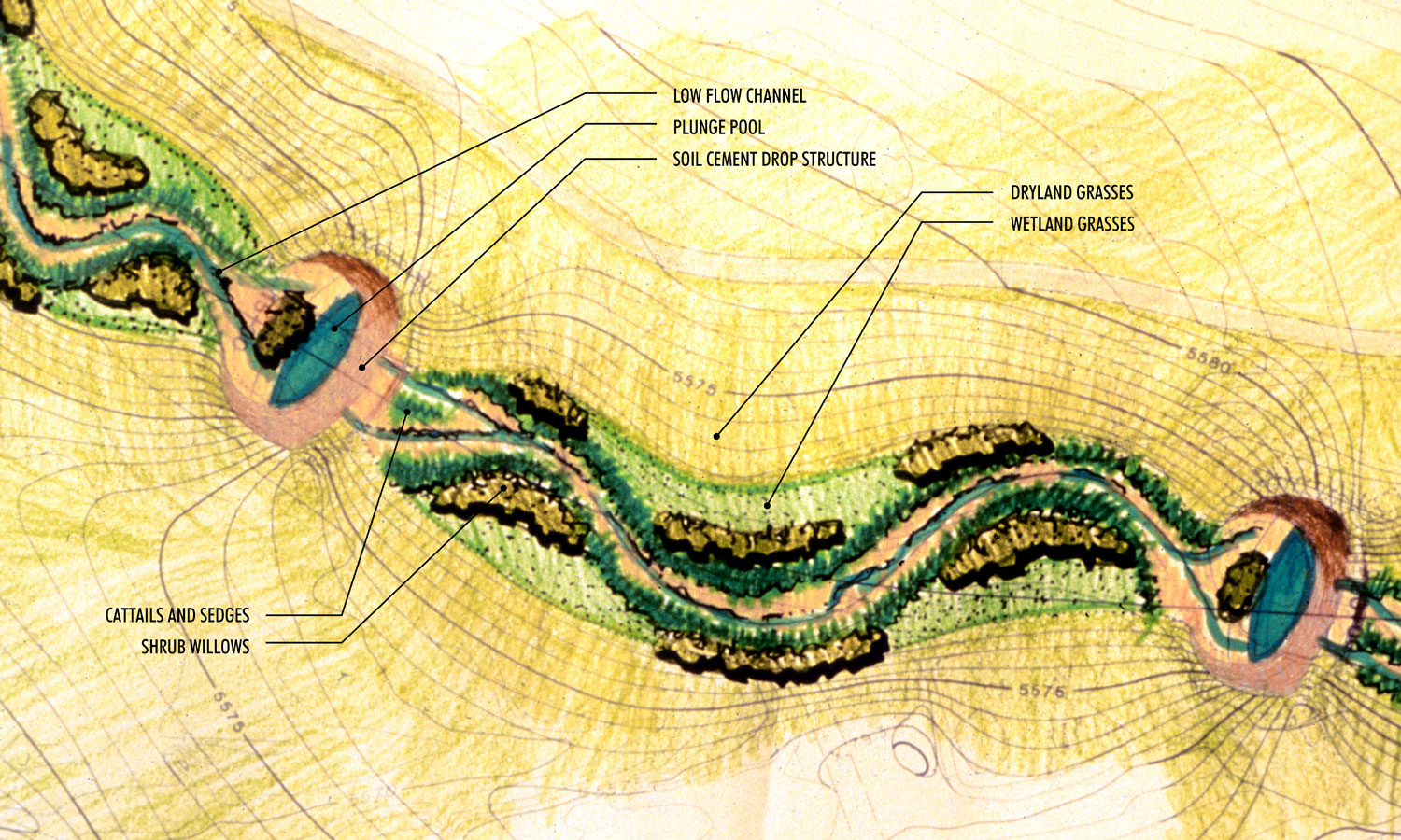 Wenk_Shop Creek_planting rendering