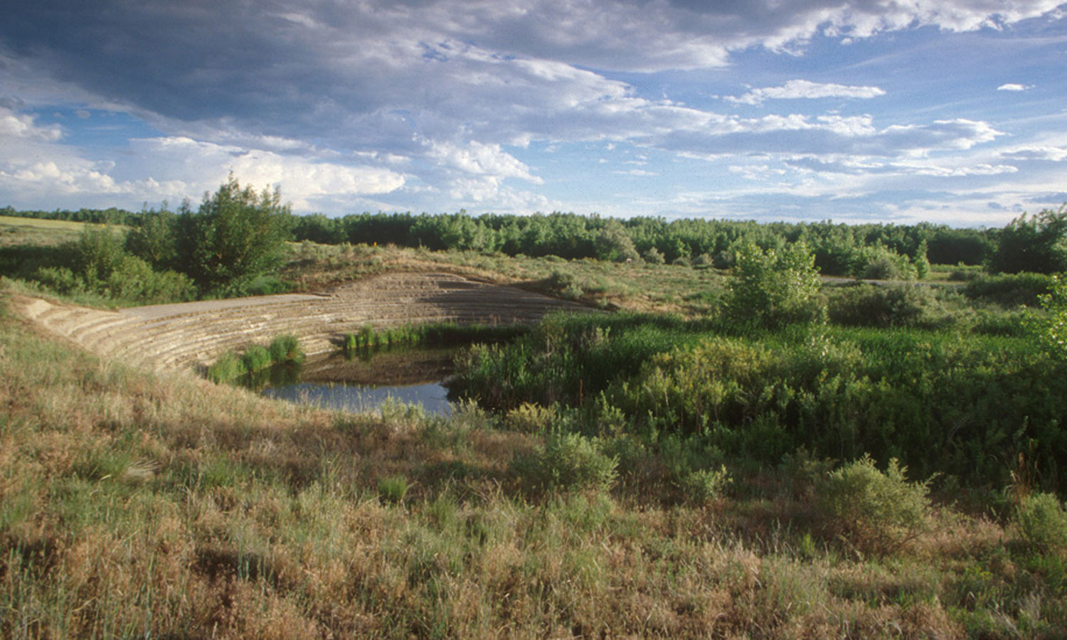 Wenk_Shop Creek_today