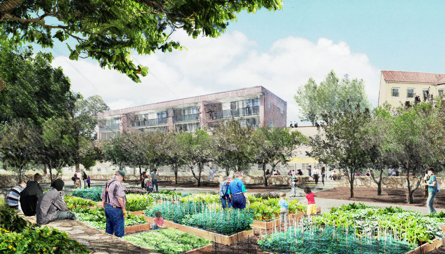 perspective rendering of community garden and orchard
