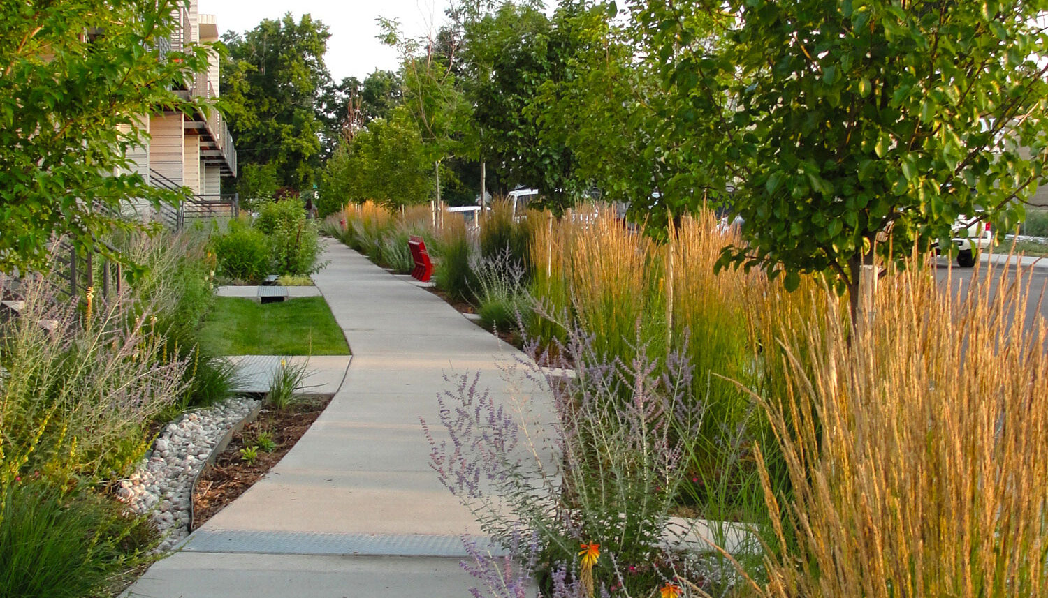 native plantings along the right of way
