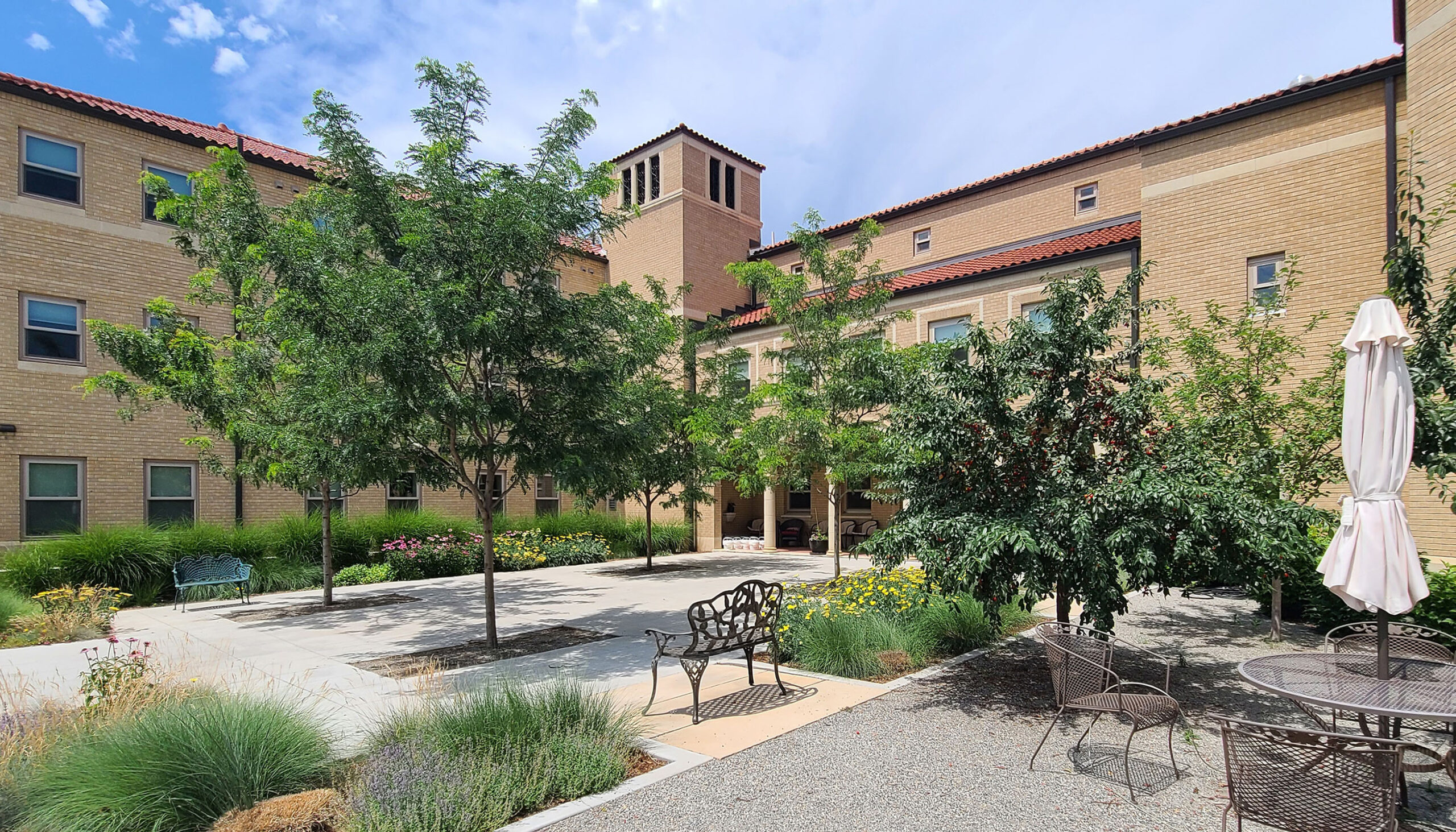 Entry courtyard with native plantings, trees, and seating