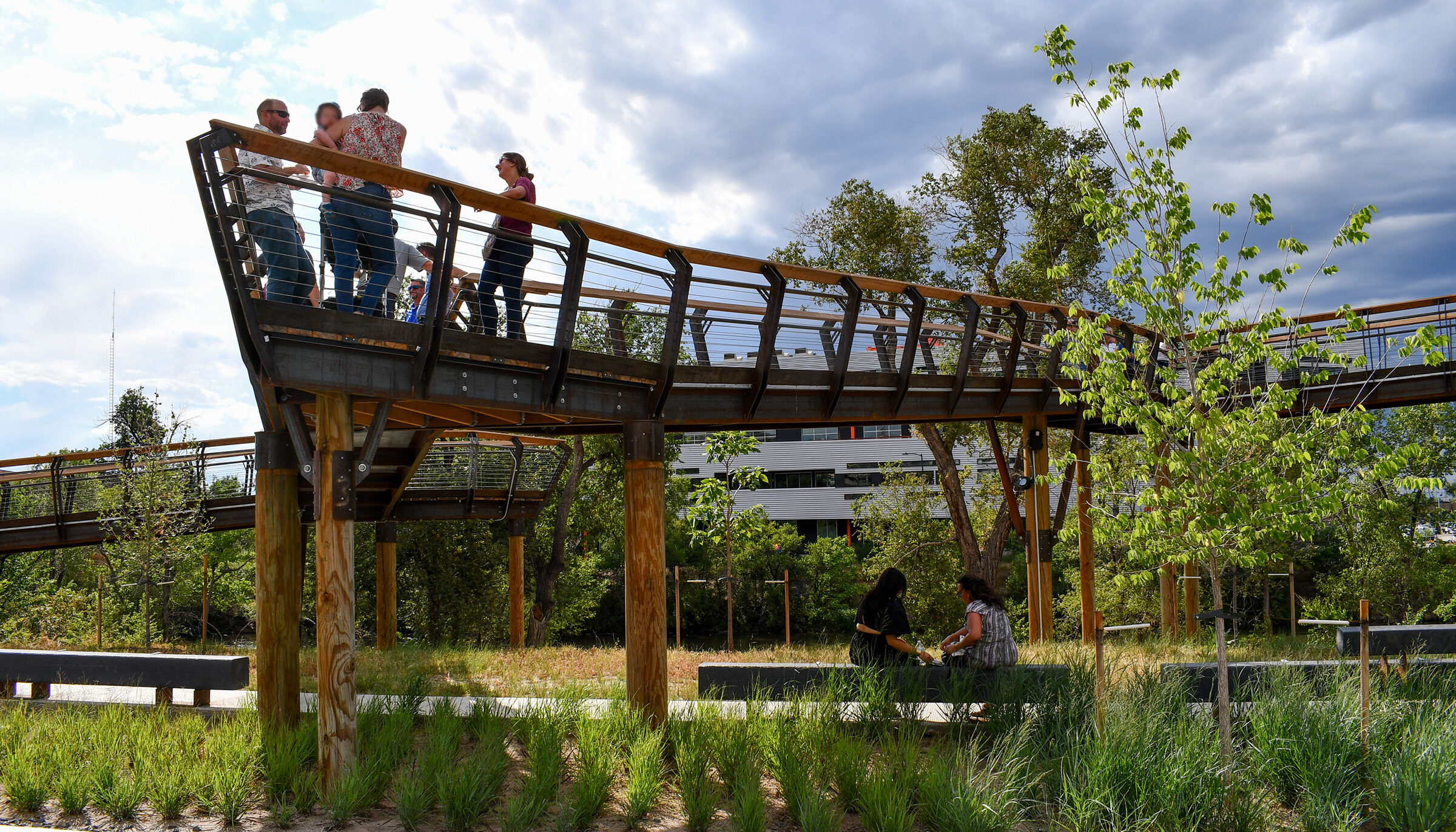 Water quality areas of native grasses are integrated within the park spaces of the promenade and underneath the elevated walkway and reflect the natural qualities of the adjacent river.