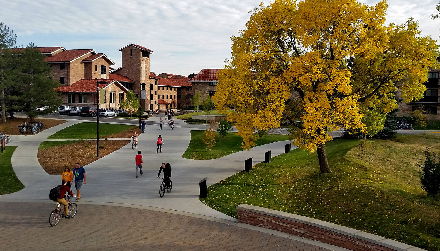A photo shows a an intersection of college campus walkways with students walking and biking under the trees.