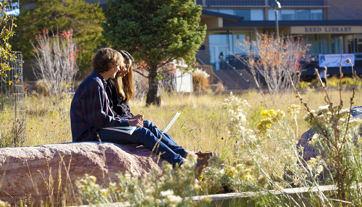 Two students read together on a boulder amidst wildflowers and native grasses.