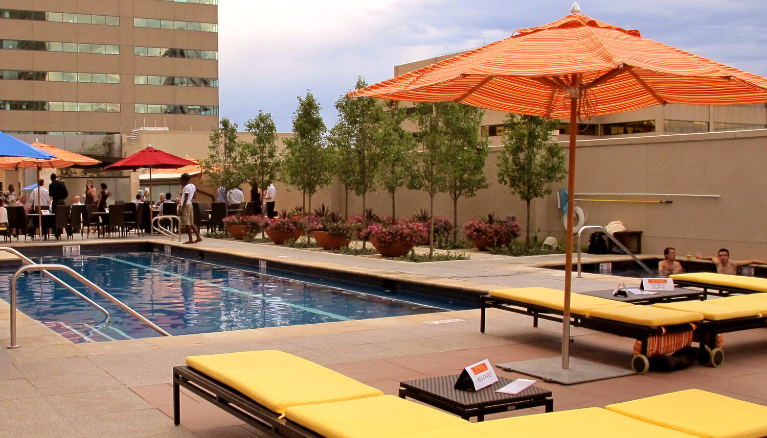 A photo of yellow lounge chairs by the pool and a couple rows of narrow trees on the rooftop.