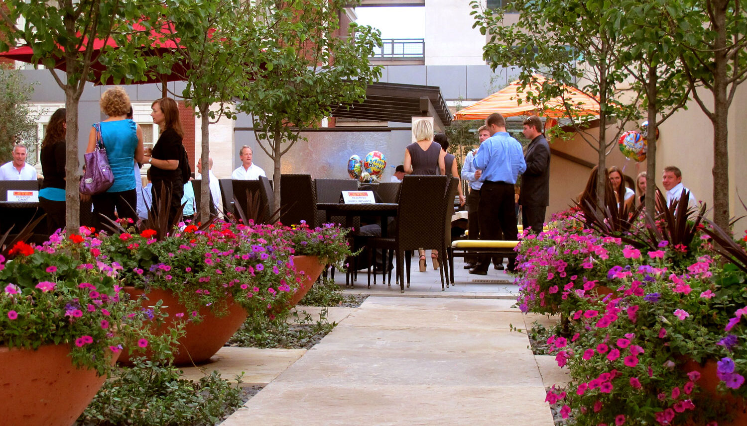 A photo looking down a flower-lined pathway towards a group of people mingling with birthday balloons.