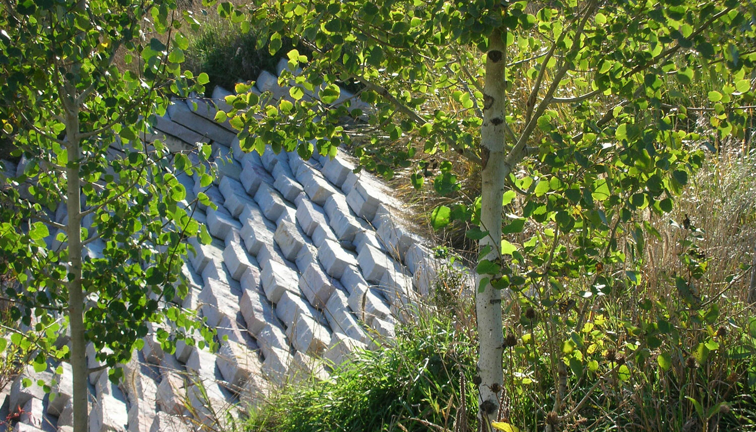 Between aspen canopy, a stone bank stabilization area runs uphill like armor.