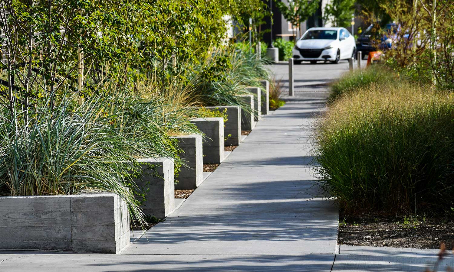 The concrete planters create a rhythmic pattern along the walk in the Post District garden area.