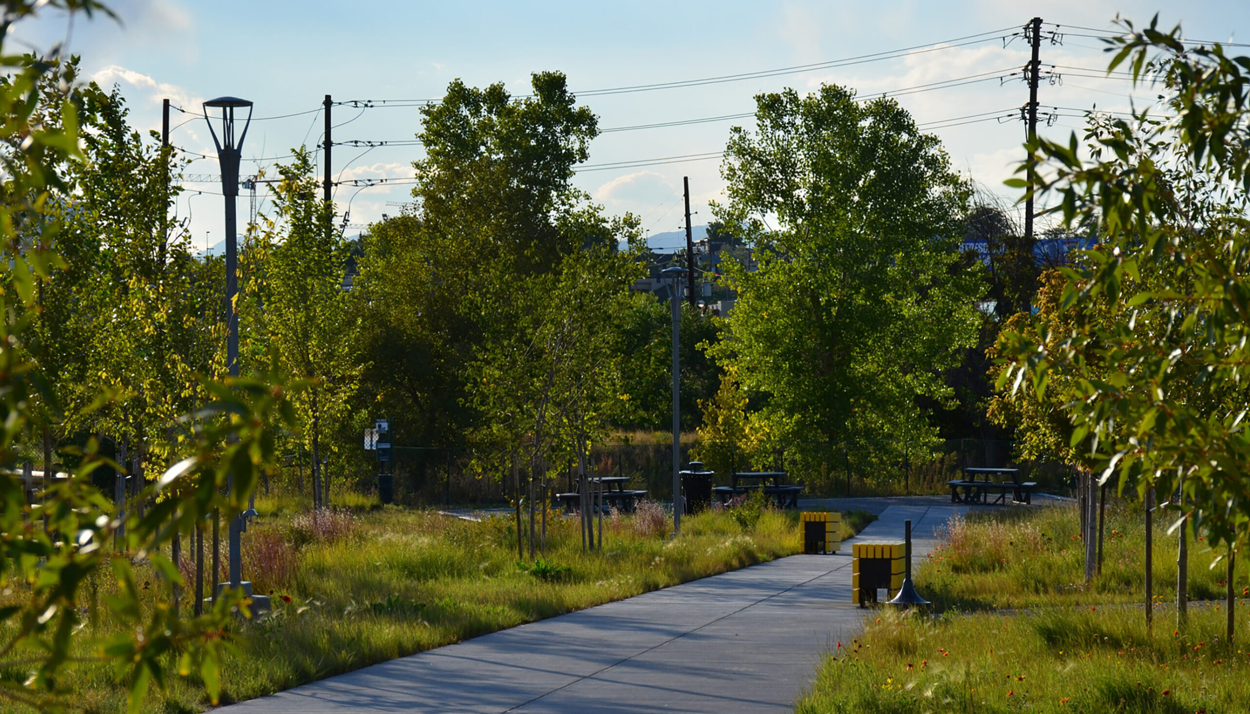 a wide concrete walk through a water quality native meadow with wildflowers leads down to picnic tables within the trees at the edge of the river