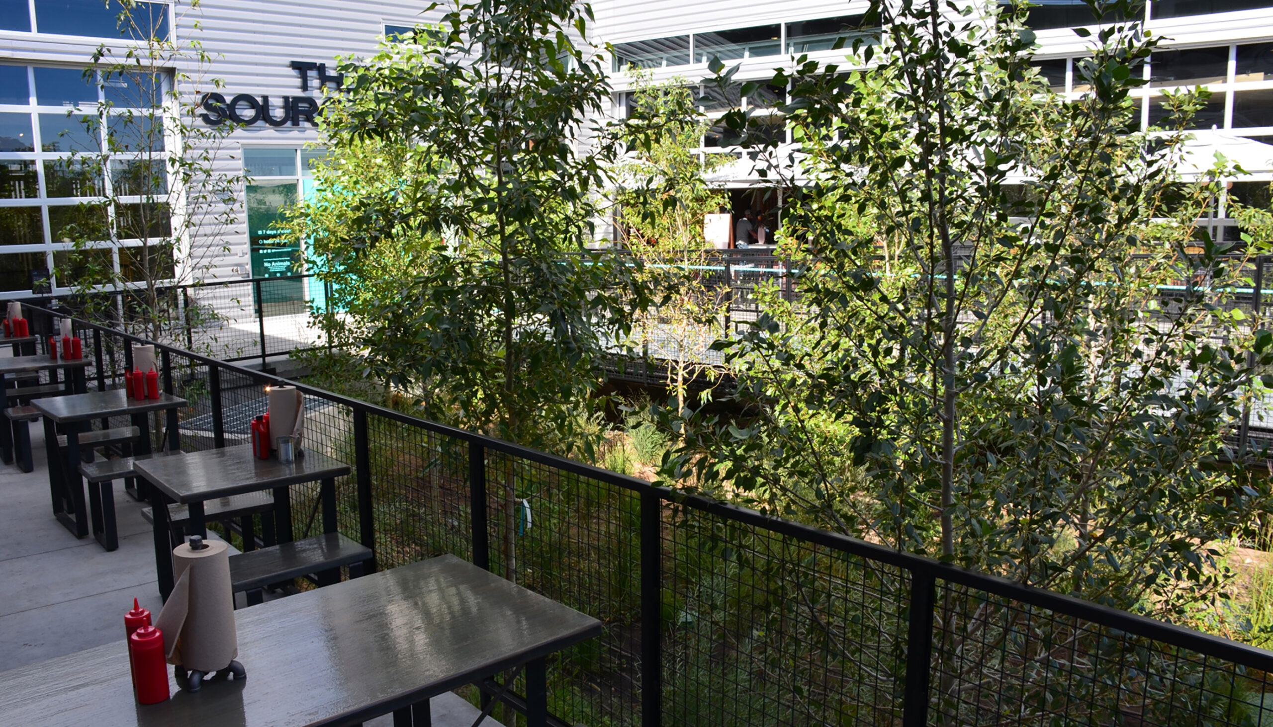 A café patio sits adjacent to a sunken water quality garden filled with native plants and poplar trees