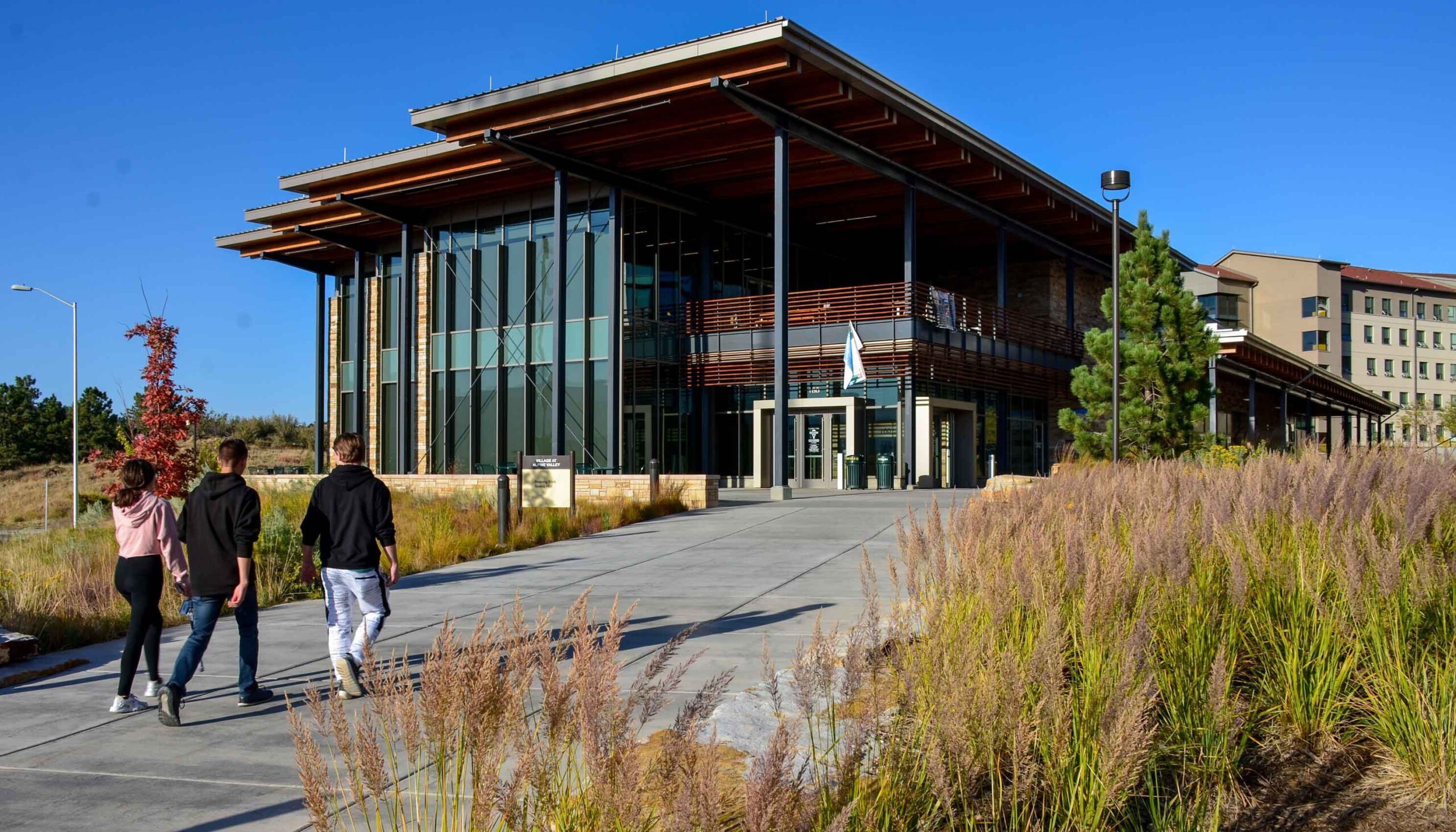 Modern architecture at the end of a wide pedestrian area with tall wild grasses in the foreground.