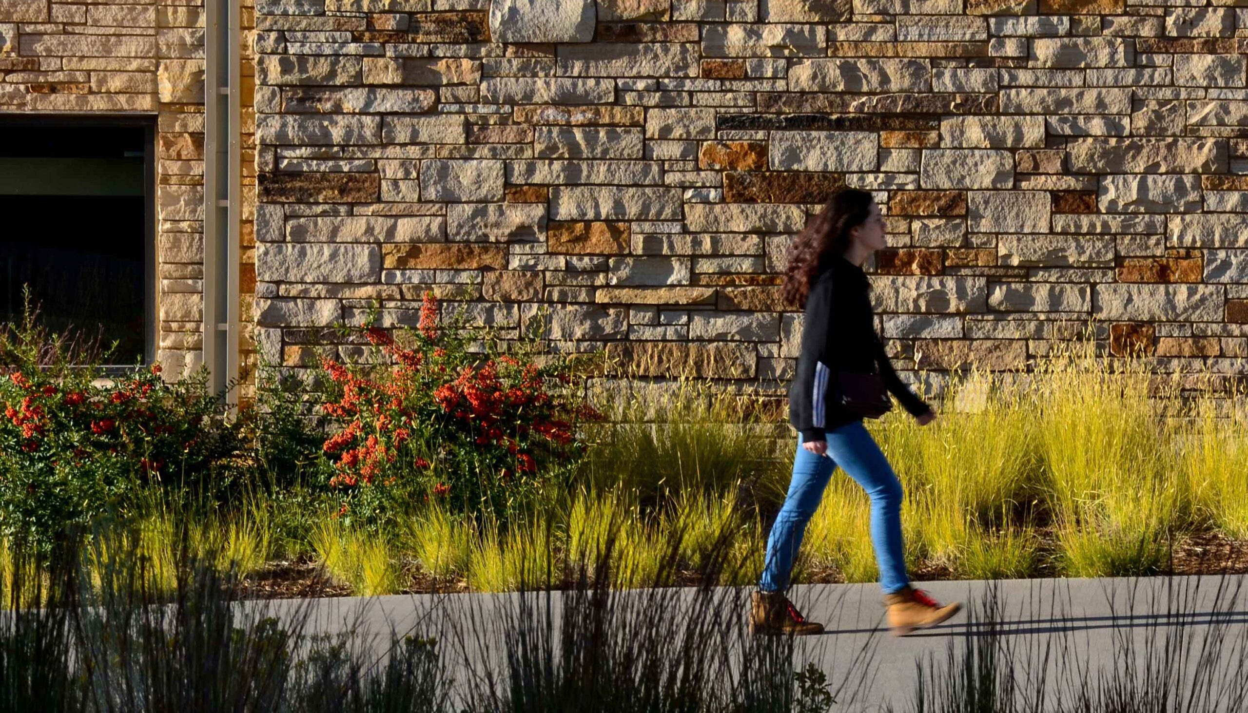 A woman walking with gasses on either side of a sidewalk and a stone wall behind.