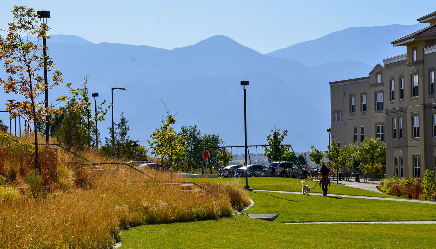 A hillside covered in tall native grasses is separated from turf grass by a discrete mow band with the Rocky Mountains in the background.