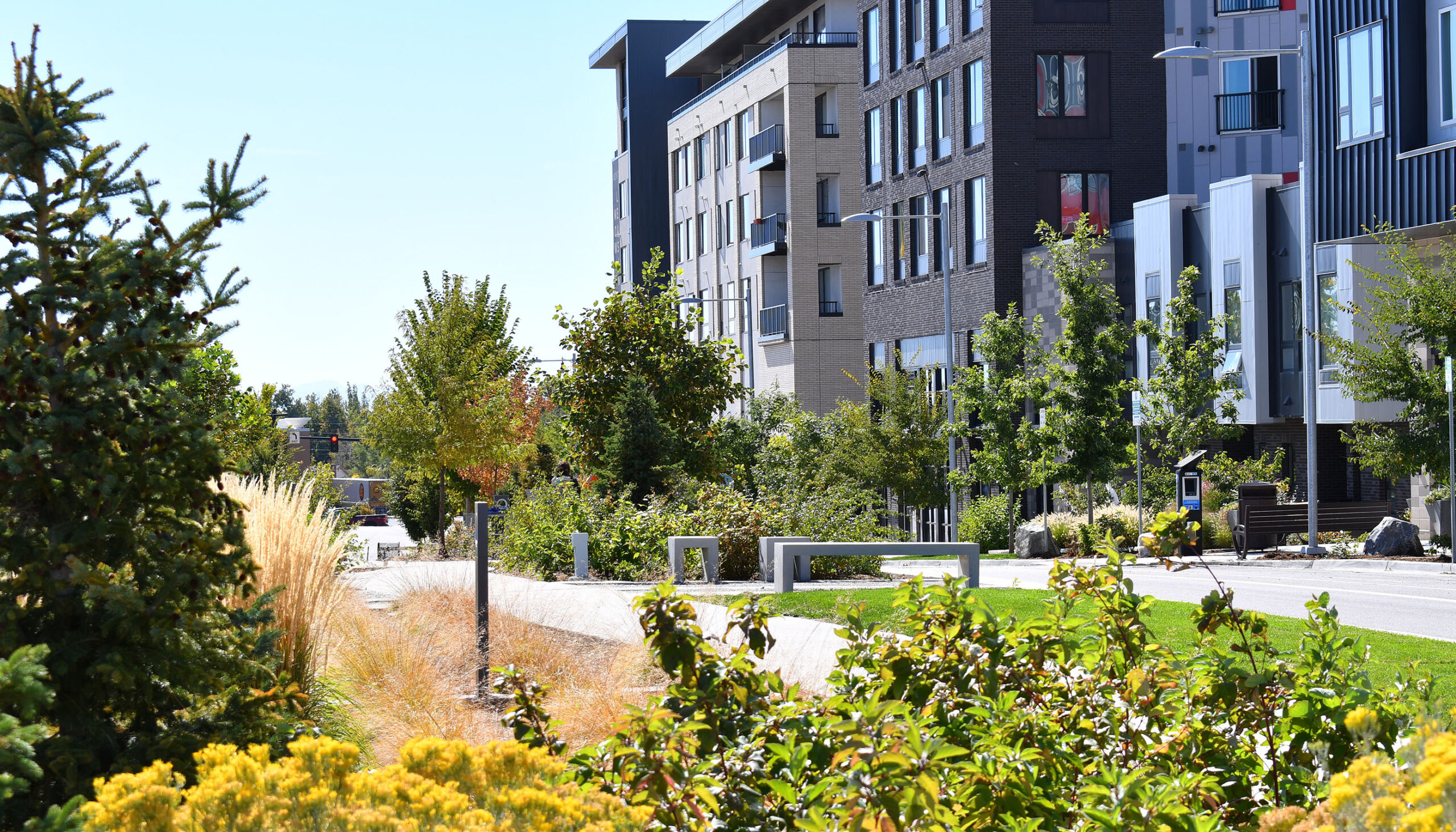 Wide streetscape parkway with native plantings and seating areas