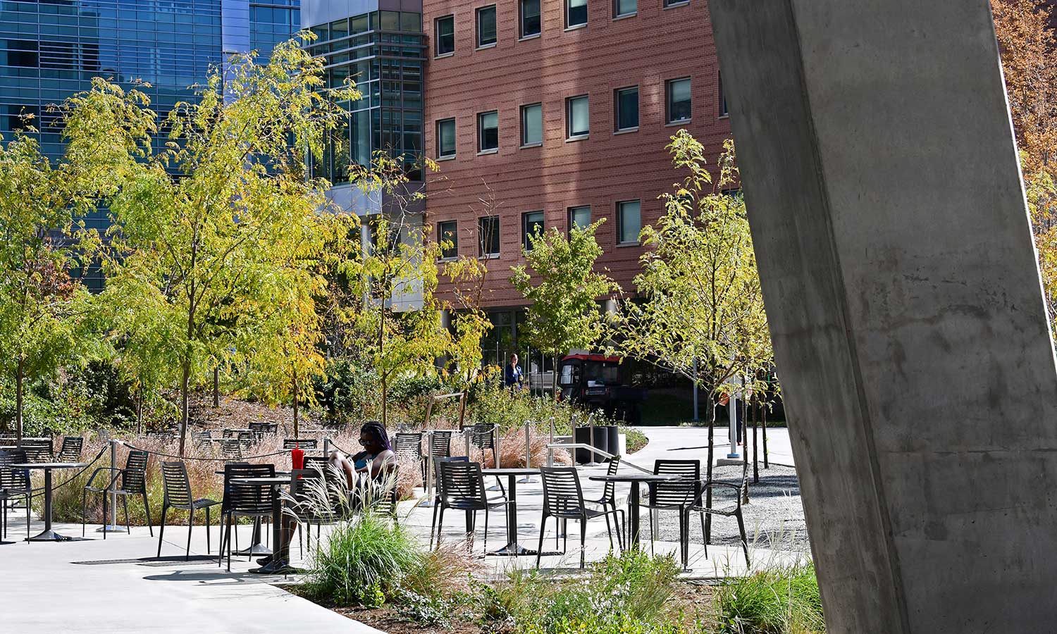 A student studies in the sunshine at a table in the outdoor cafe.