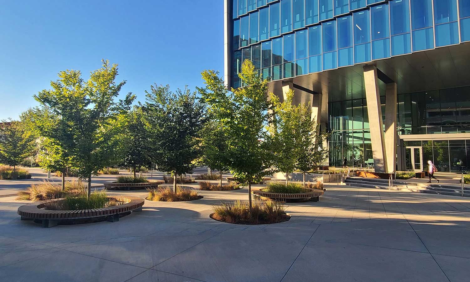 Visitors enter the building through a shady grove.